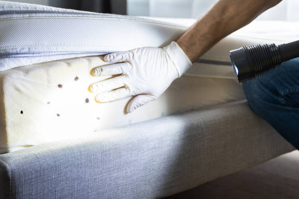Professional Pest Control in Galesville, WI